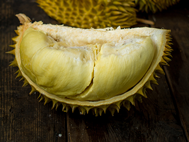 开云在线入口基地展示二