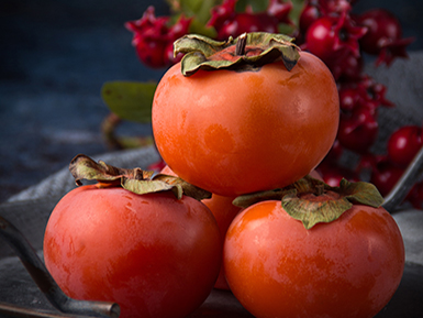 开云在线入口基地展示四